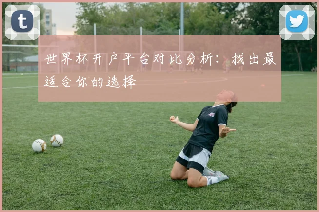 世界杯开户平台对比分析:找出最适合你的选择