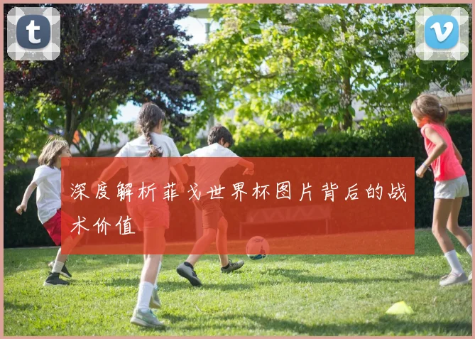 深度解析菲戈世界杯图片背后的战术价值