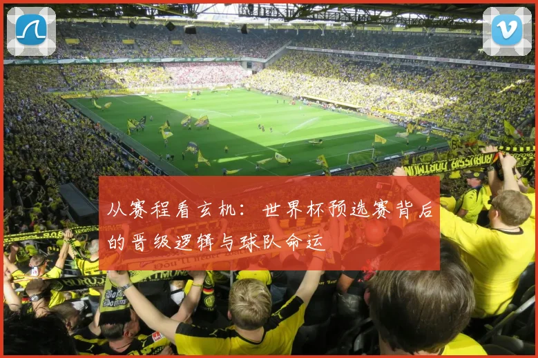 从赛程看玄机：世界杯预选赛背后的晋级逻辑与球队命运