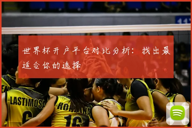 世界杯开户平台对比分析:找出最适合你的选择