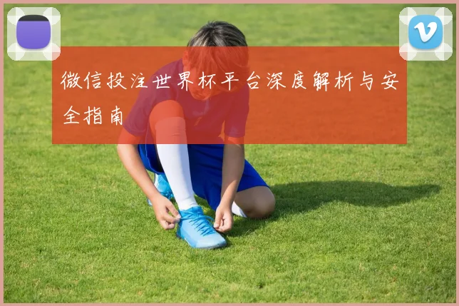 微信投注世界杯平台深度解析与安全指南