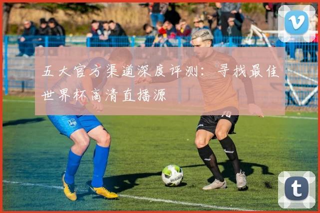 五大官方渠道深度评测：寻找最佳世界杯高清直播源